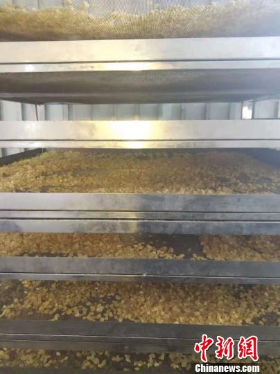 ����֯��СС���Ǿ�ǧ���¸�·