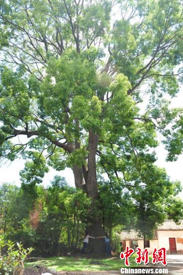 ͼΪλ�������������ֵİ�����������������������ҵ���ṩ ��