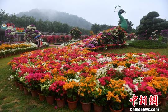 �������ᡱ20�꣺����������˫Ӯ