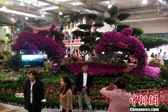 �������ᡱ�ѳ�Ϊ����Ͽ����������������ũҵ��óʢ�ᡣ������ ��