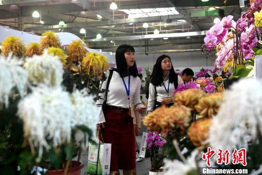 �������ᡱ������������ǰ���ιۡ������� ��