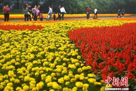 ����԰����չ���������� ��