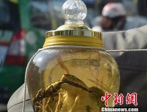 ���������һҳ