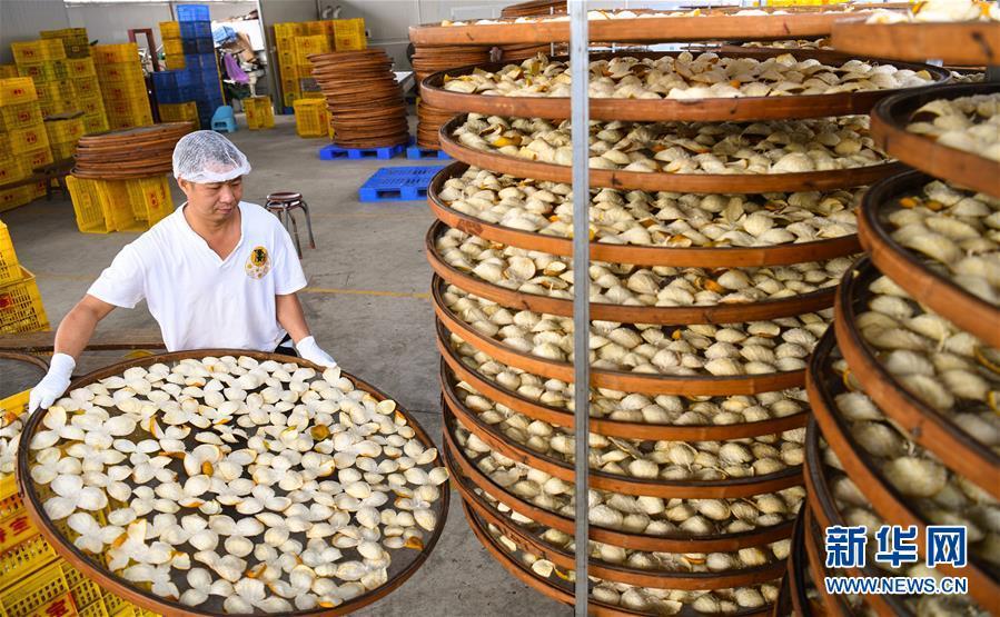 (���)(3)�̹��� ��Ƥ��