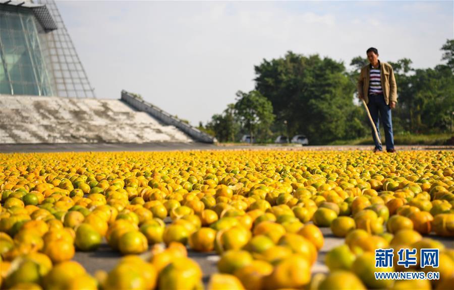 (���)(2)�̹��� ��Ƥ��