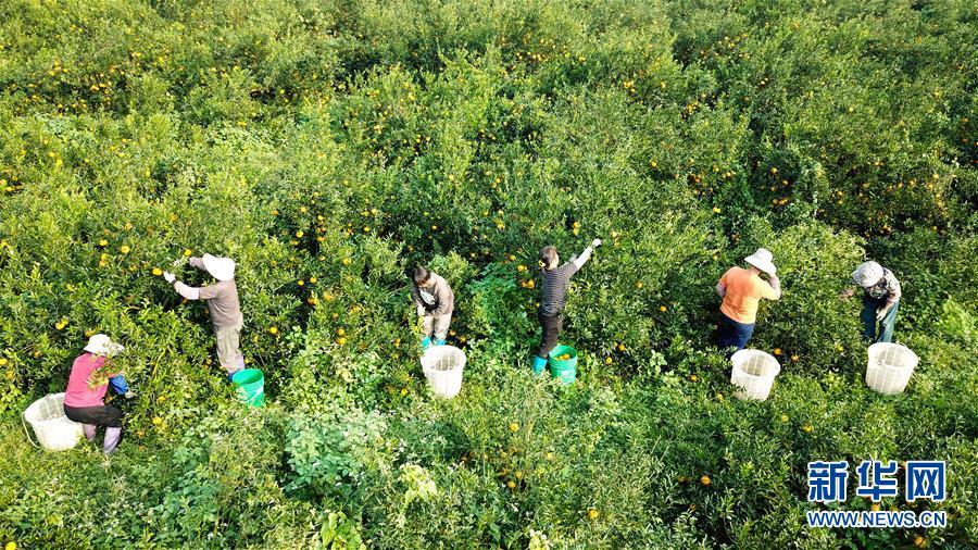 (���)(5)�̹��� ��Ƥ��