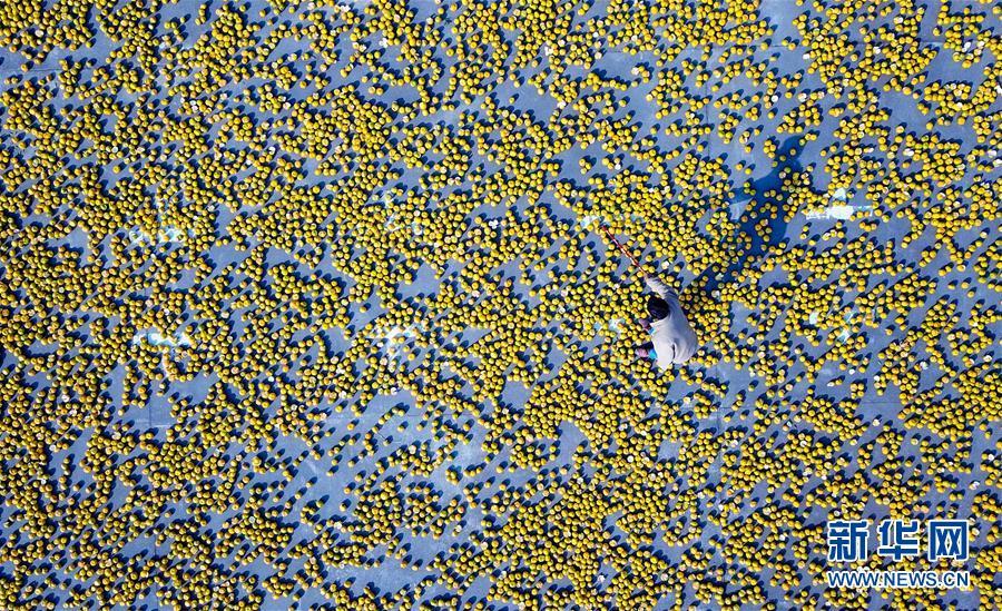 (���)(1)�̹��� ��Ƥ��