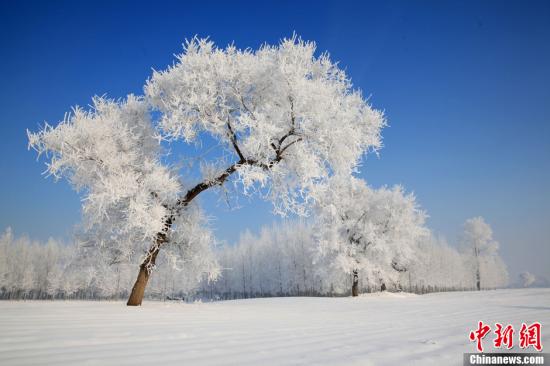 ����ͼ�������������Ӱ�����ߺ��ο�ǰ�����͡�<a target='_blank' href='http://www.chinanews.com/'>������</a>�� �콨�� �� ͼƬ��Դ��CNSPHOTO