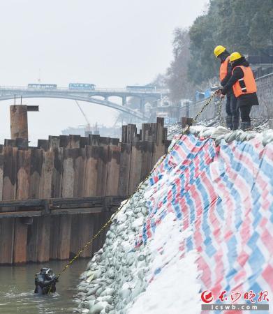 ��������ϼ����ˮ����ҵ���������ڰ��Ͻ�����ס��ȫ�������˽⣬��Ŀȫ�߹���6��Ǳˮ���飬ÿ����5�ˣ�����ǱˮԱ3�ˡ����ϸ�����Ա2�ˡ�