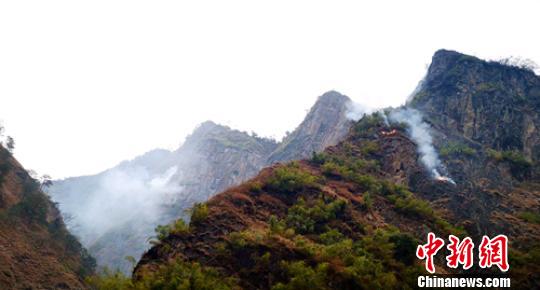 ǧ�����˾��Ĵ�����ɭ�ֻ��ֻ����ѵõ�����