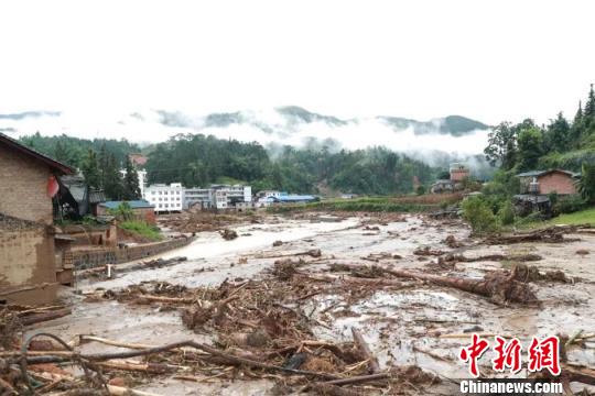 2018�����Ϻ��Ե����ֺ�Ƶ����������ʧ��85��