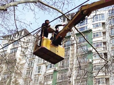 ���������һҳ