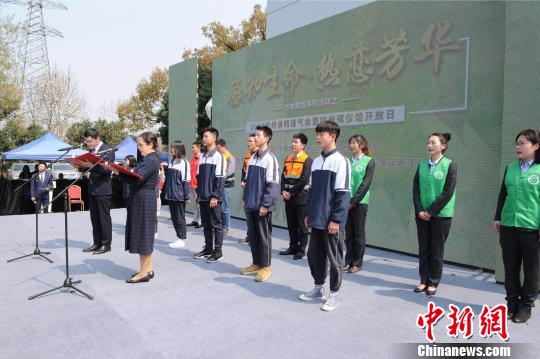 ��ֳ��������� ��