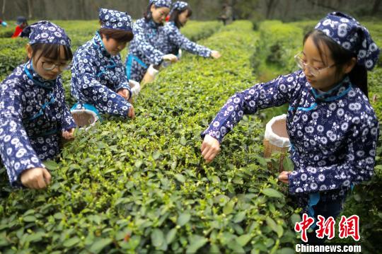 �������Ͼ���ɽ�괺�迪�ɣ��ɲ�Ů÷������ժ����