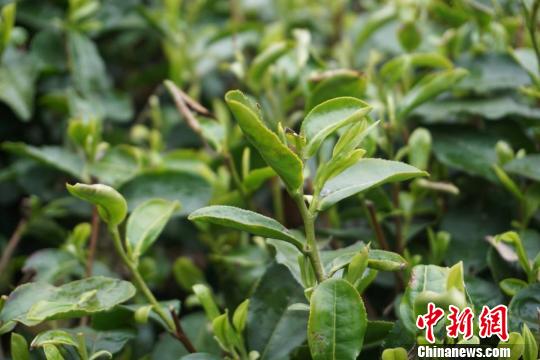 ����ʱ�ڣ�ÿ����²�Ҳ�������ⰻȻ���������� ��