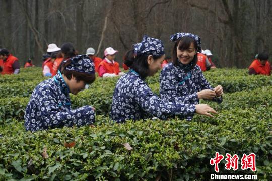 ��ɽ��賧�ܱ߱�ֲ÷������Ҳ�ǲ�԰��һ����ɫ���������� ��