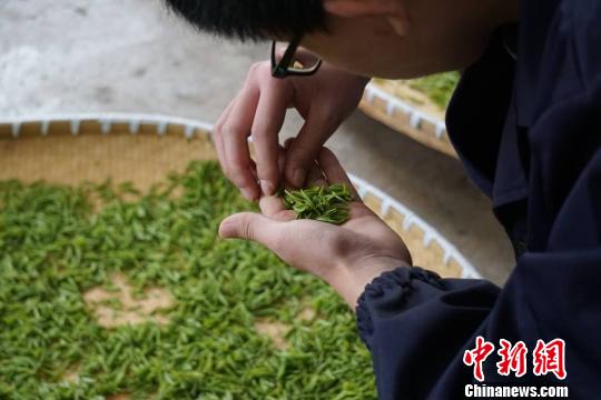 �껨�����������ʮ�ָ��ӡ��������� ��