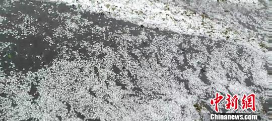 ͼΪ��ɽ������������ ��