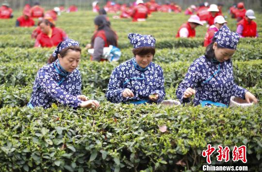 ���۴�ɫ���Ͼ���ɽ���԰������ ��