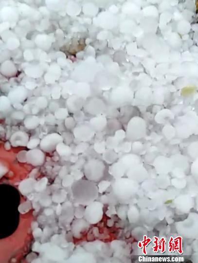 �㽭��ش��֡��±��������ڳƴ���Ӳ����ű���