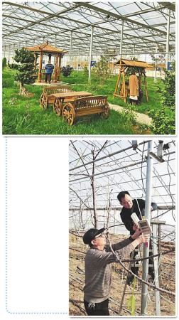 ���������һҳ