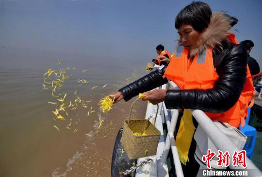 �㽭̨�ݾ����׽켯�庣���ͱ���ʽ44λ���ߡ����̺���