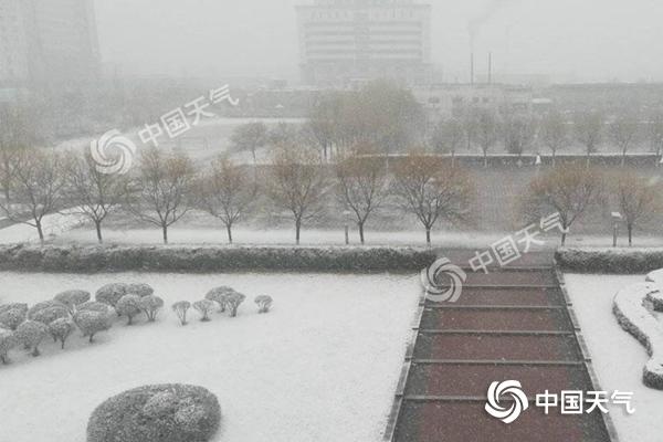 ���������һҳ