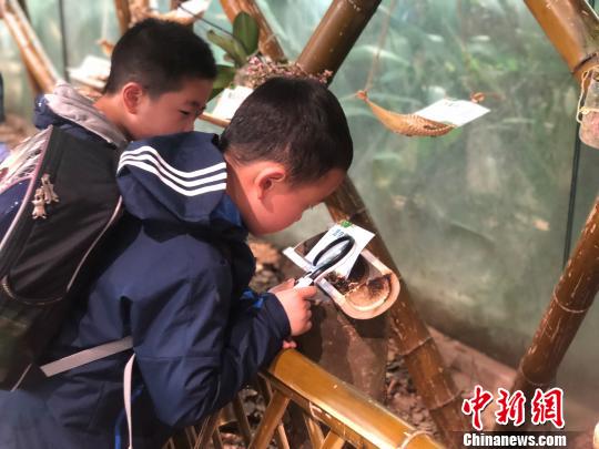 ���ȴ����������������Ͼ�����Ҭ�ӡ���Ƥ������