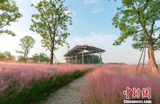 �����̵��ķ������Ӳݻ����������쾰�㡣����� ��