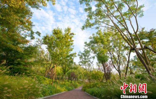 �Ͼ������ޱ����̵���ƹ滮��������̬ԭò������˶�����ʴ󽱡������ ��