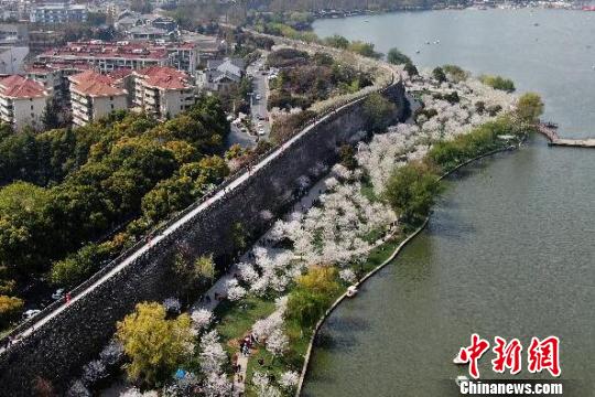 �Ͼ�������ǽ�̵�������������� ��