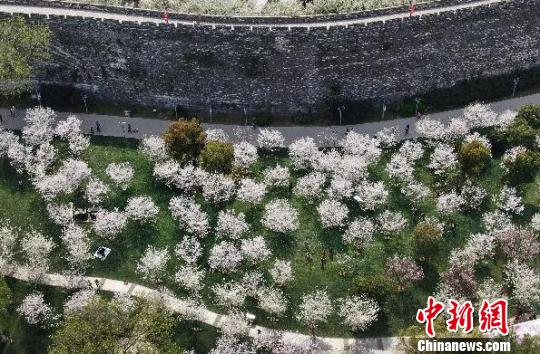 �����ӽ��µ��̵������� ��