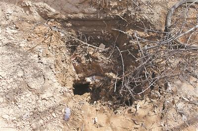 ���������һҳ