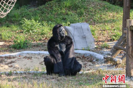 �������ɳ��ݻ��������ˡ� ��κ ��