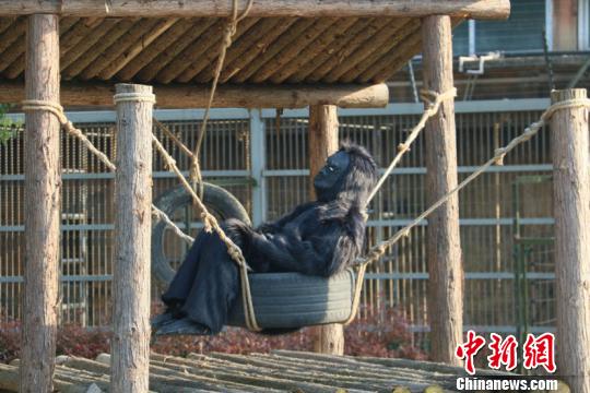 �������ɳ��ݻ��������ˡ� ��κ ��