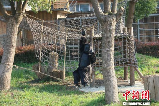 �������ɳ��ݻ��������ˡ� ��κ ��