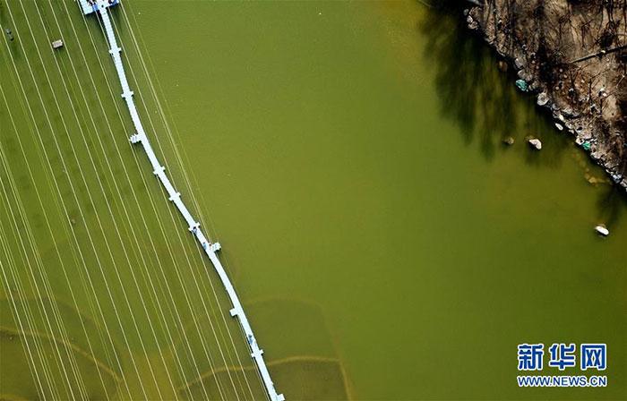 ���������һҳ