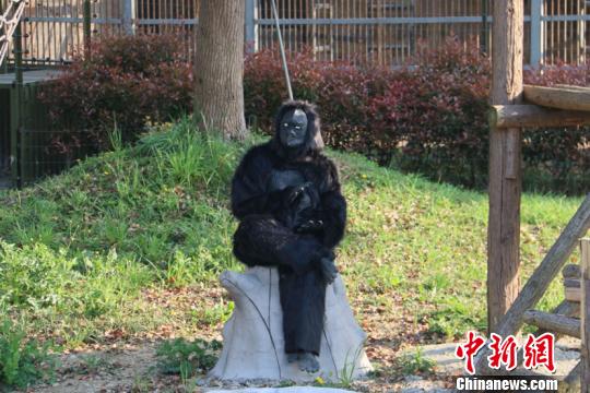 ����һ����԰���˰����ɡ����ˡ�������԰����ֻΪ�����ˡ�