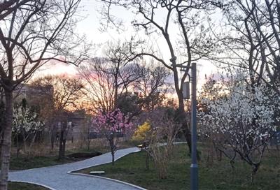 ���������һҳ