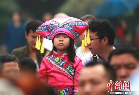 “紫荆花城”广西柳州搭歌台中外百名歌手赶歌圩