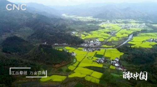 ���������һҳ