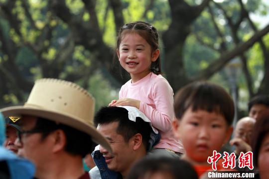 一名小女孩骑在家人肩上观看山歌邀请赛。 朱柳融 摄