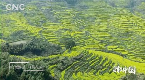 ���������һҳ