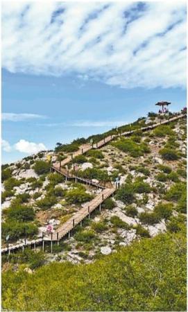 ���������һҳ