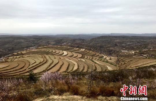 ���������������������������Ķ��2014�꣬��������������ѡ���й�������԰����������ɺ ��