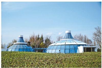 ���������һҳ