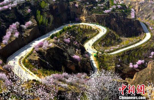 ÿ�����£���ɽ��Ұʢ�����һ����ӻ�������װ��ɷ�ɫ����������ί��������ͼ