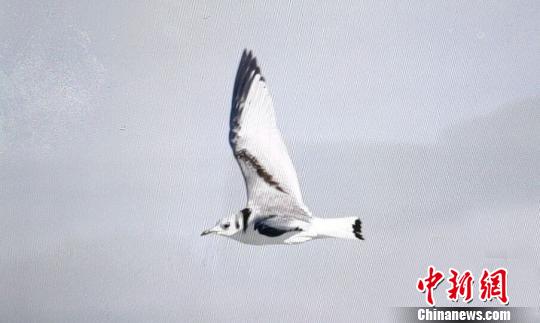 �������֡���ֺŸ�����й������ˮ�����׺���û