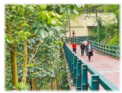 ���������һҳ