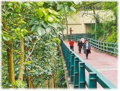 ���������һҳ